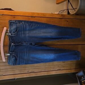 SILVER PLUS SIZE JEANS